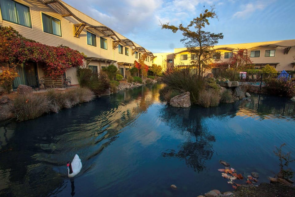 DoubleTree by Hilton Napa Valley American Canyon Hotel in Vallejo