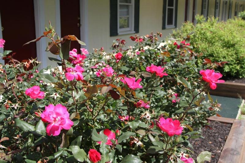 Lodge at Kennebunk Hotel in Arundel