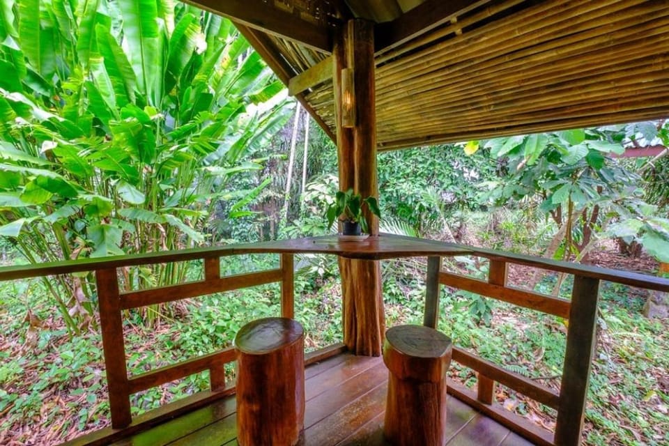 Khao Sok Silver Cliff Resort Resort in Khlong Sok