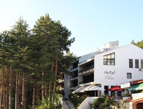 Hotel Pela Hotel in Municipality of Ohrid, North Macedonia