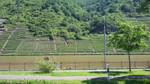 Gastehaus zum Moseltal Inn in Cochem-Zell