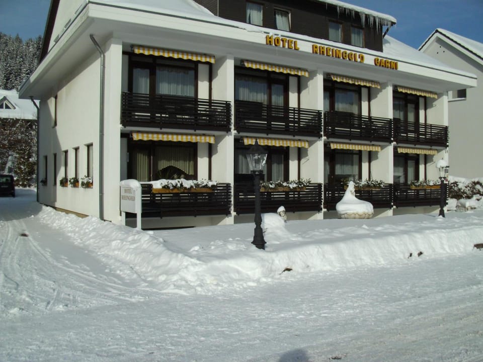 Hotel Rheingold Garni Hotel in Titisee-Neustadt