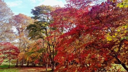 Bod Gwynedd Bed and Breakfast Hotel in Wales