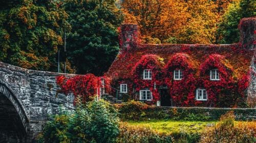 Sterling Bed & Breakfast Hotel in Wales