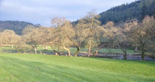 Dragon Bed and Breakfast Hotel in Wales