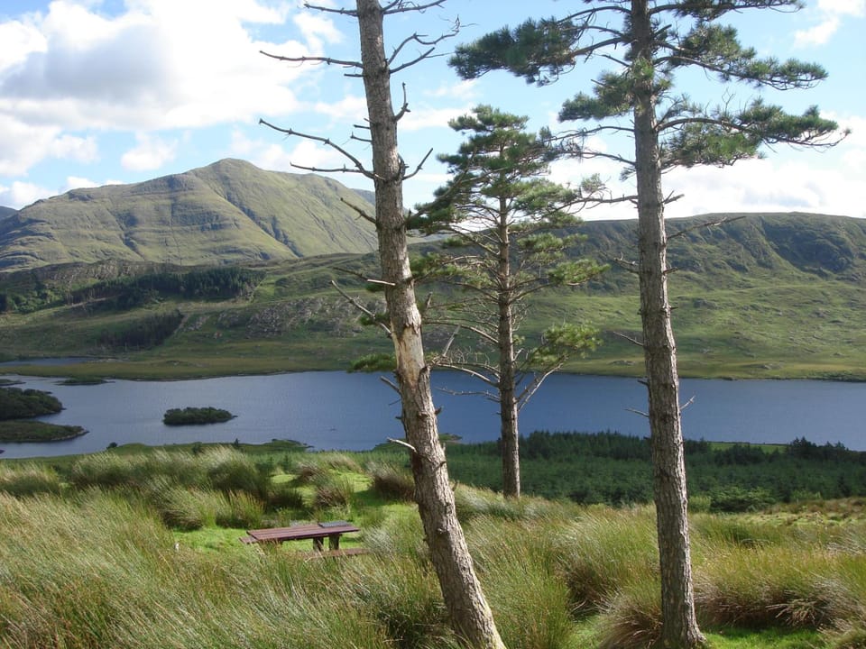 Rosmo House B&B Hotel in County Mayo