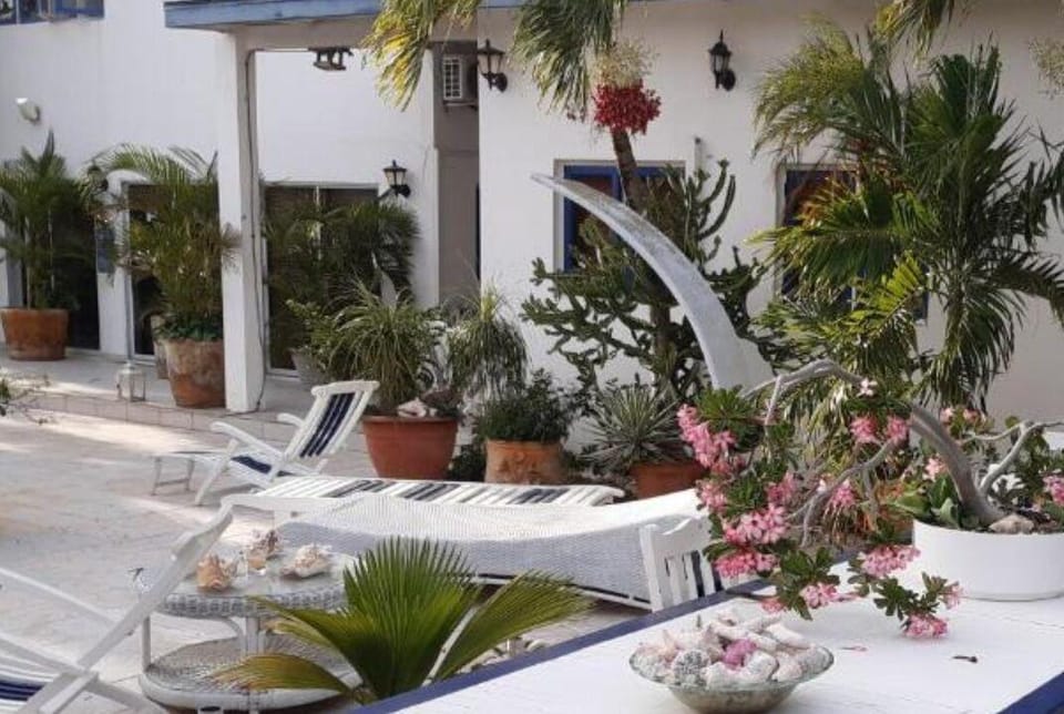 Harmony Hotel Hostel Aruba Hotel in Oranjestad