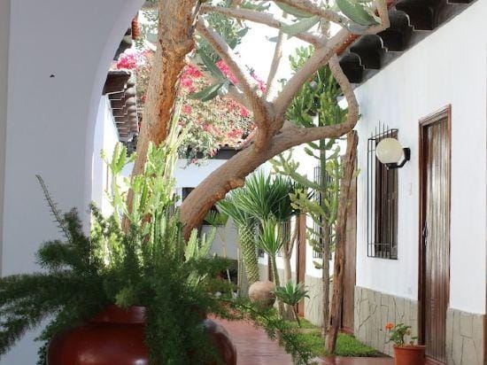 Don Agucho Hotel Hotel in Nazca