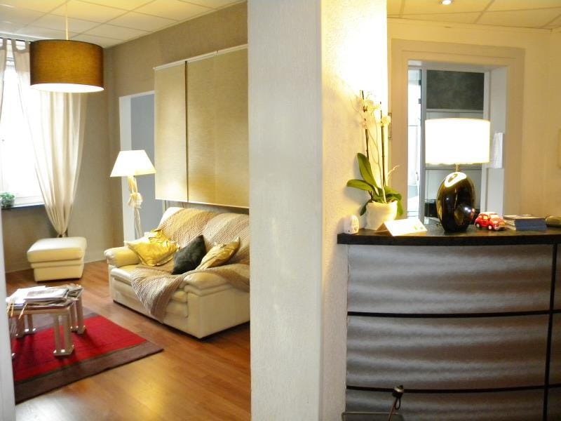 Alerion Hotel Hotel in Metz