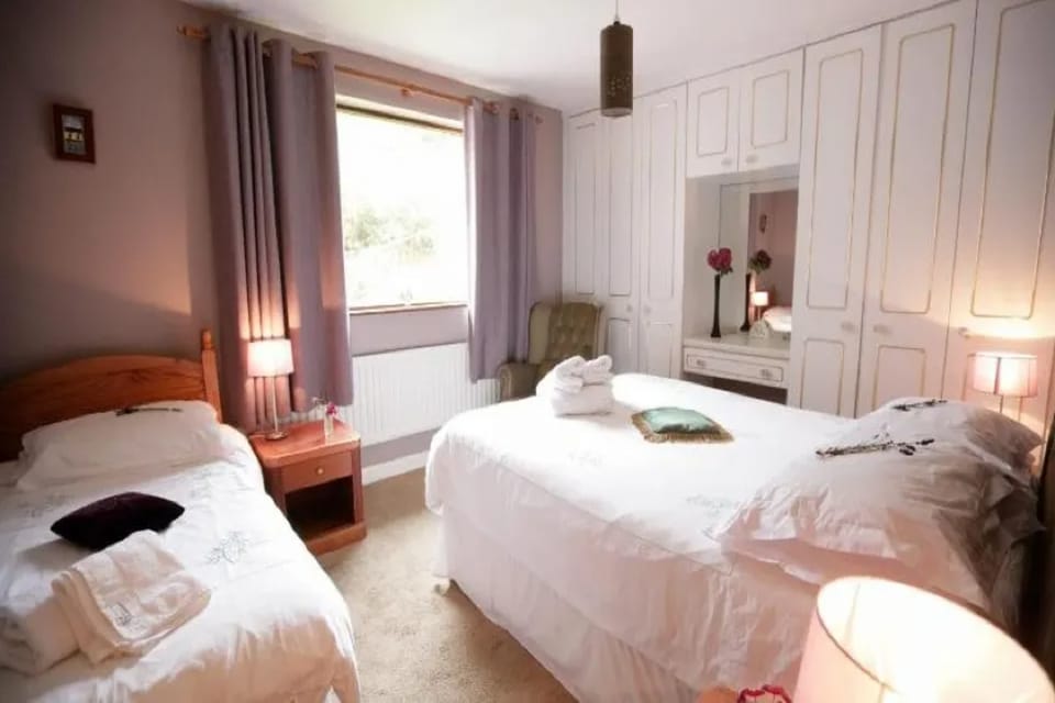 Abbey View Hotel in Galway