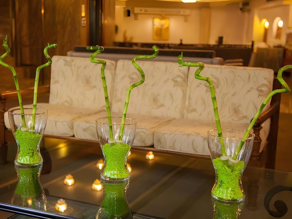 Acropolis View Hotel Hotel in Athens