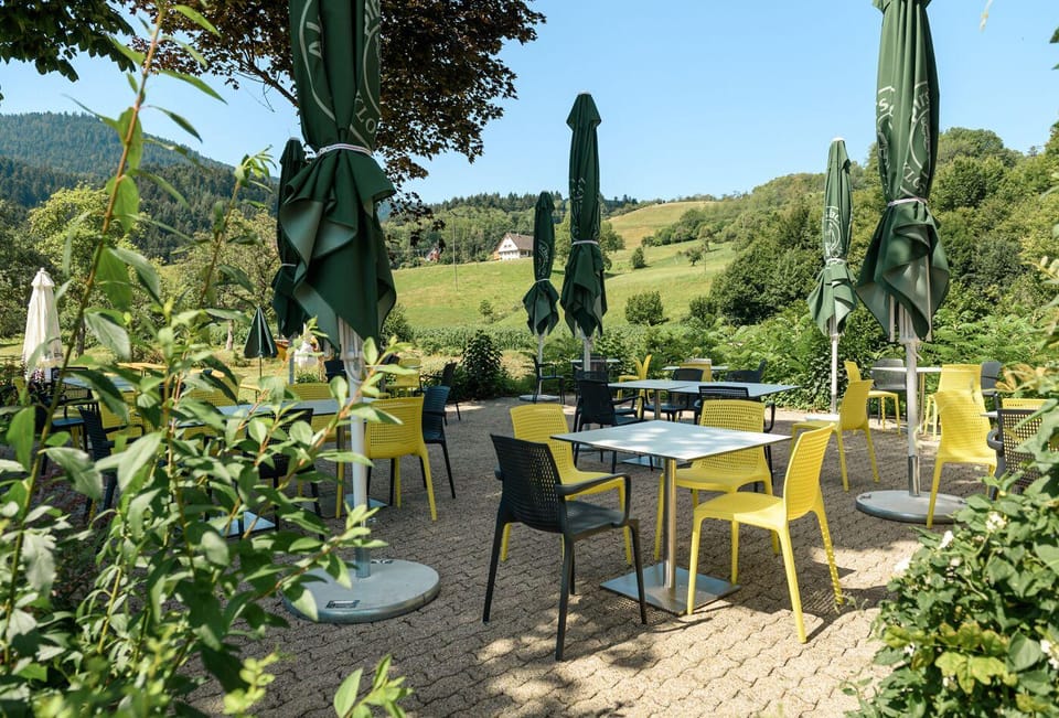 Hotel, Cafe & Restaurant Muhlengluck Hotel in Ortenau