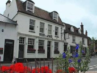 OYO White Horse Hotel Hotel in Horsham District