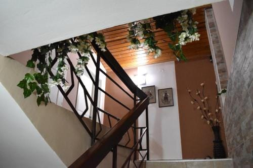 Guest house Kozle Hotel in Skopje