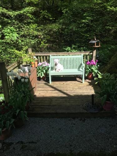 Stockghyll Cottage Hotel in Windermere