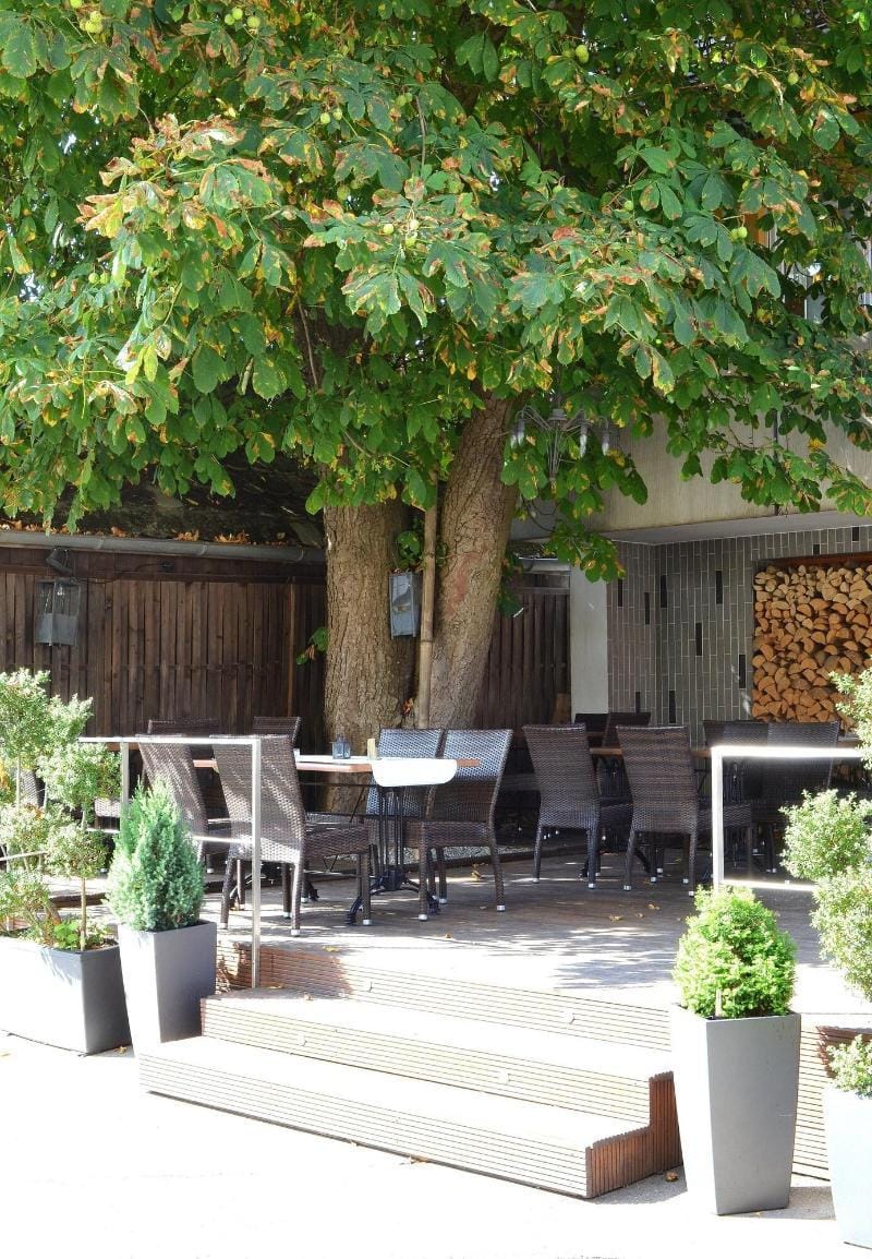 Hotel & Gasthof Lowen Hotel in Neu-Ulm