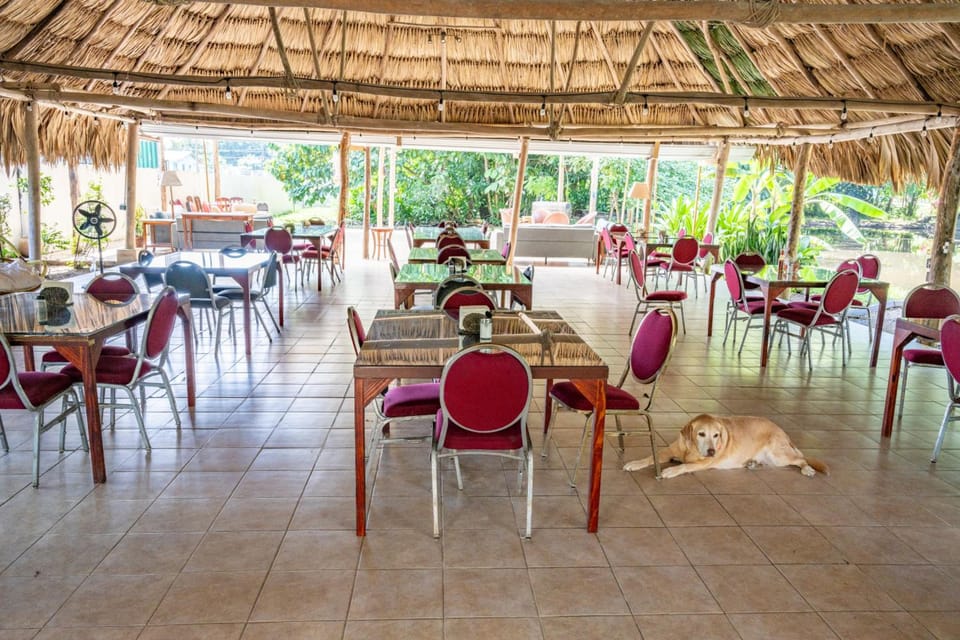 Drift Inn Cayo Hotel in Cayo District