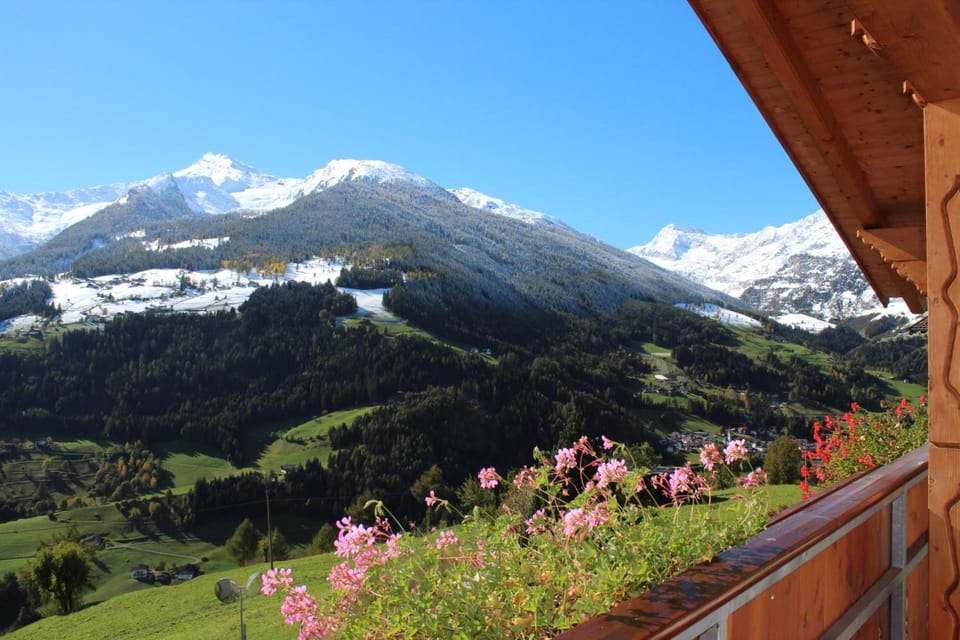 Pension Widmann Hotel in Trentino-South Tyrol