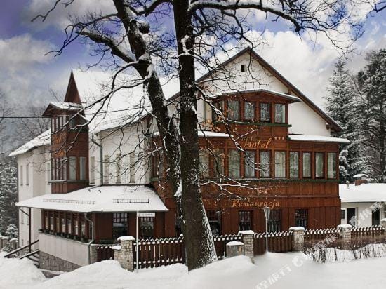 Hotel Swieradow Hotel in Lower Silesian Voivodeship