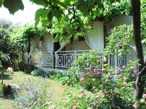 Port Rooms Pet Friendly Hotel in Thasos