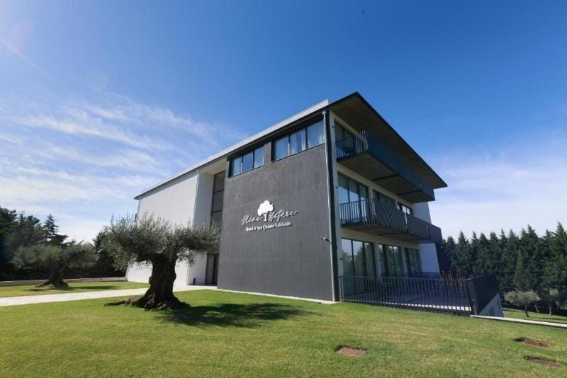 Quinta Dona Adelaide Hotel in Vila Real District
