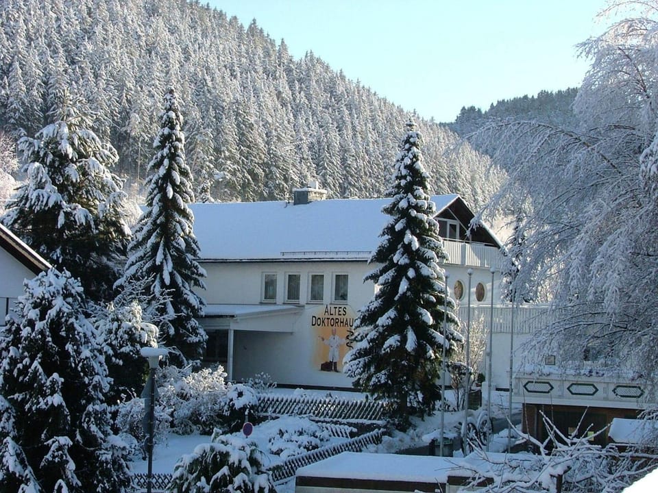 Altes Doktorhaus - Hotel Garni Hotel in Willingen