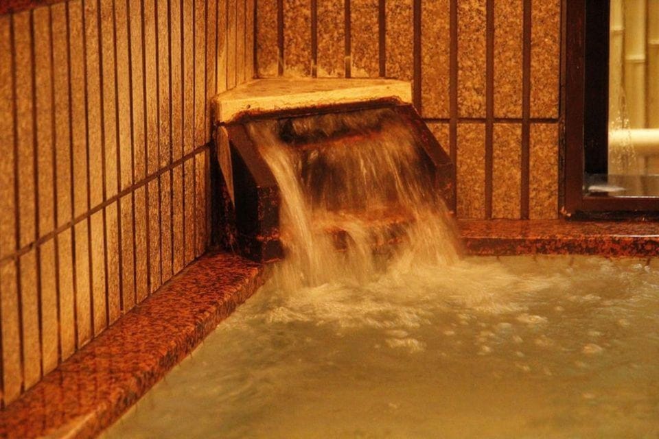 Ryotei Kotaki Hotel in Japan