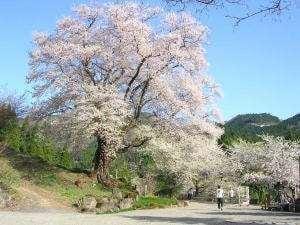 Farmer's Pension Little Pine Hotel in Japan