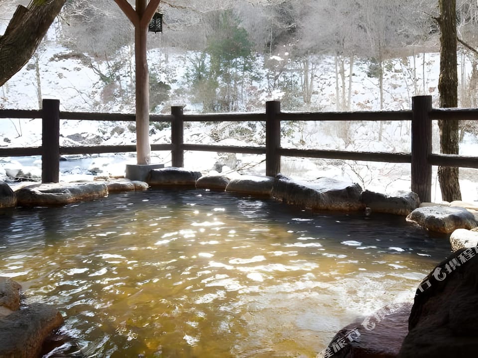 Shitajima Onsen Senyukan Hotel in Takayama