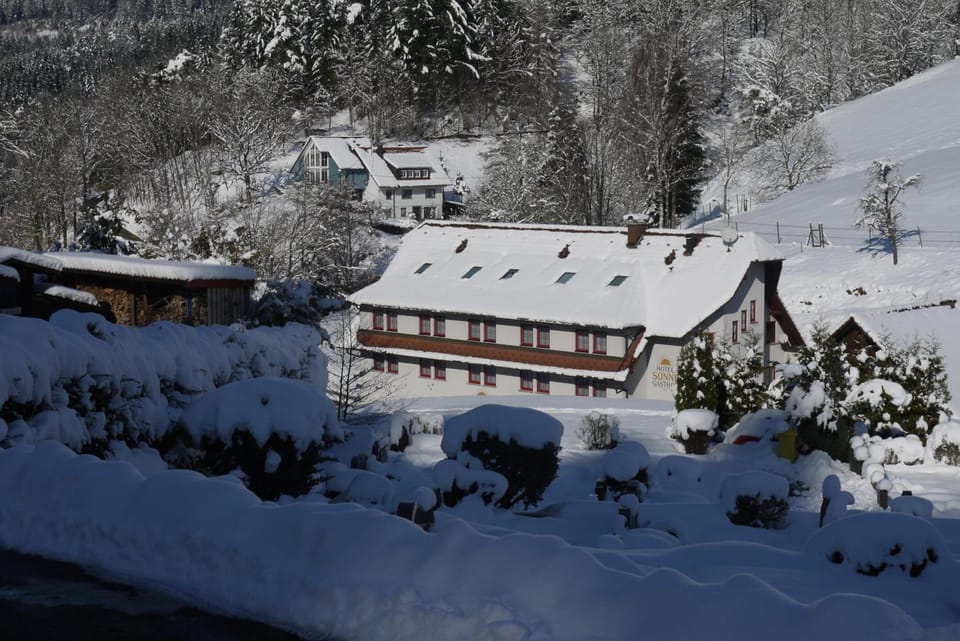 Hotel Sonne Hotel in Ortenau