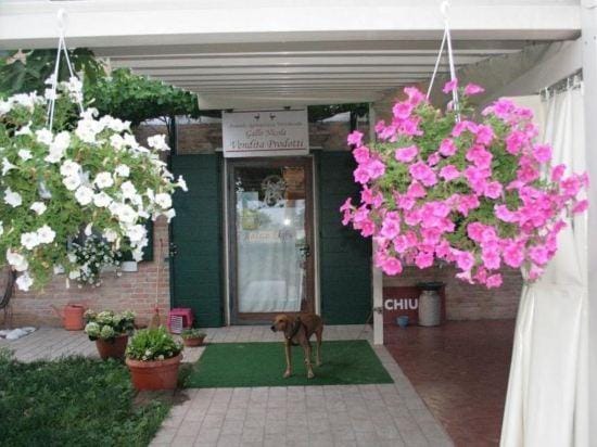 Locanda Antico Figher Hotel in Friuli-Venezia Giulia