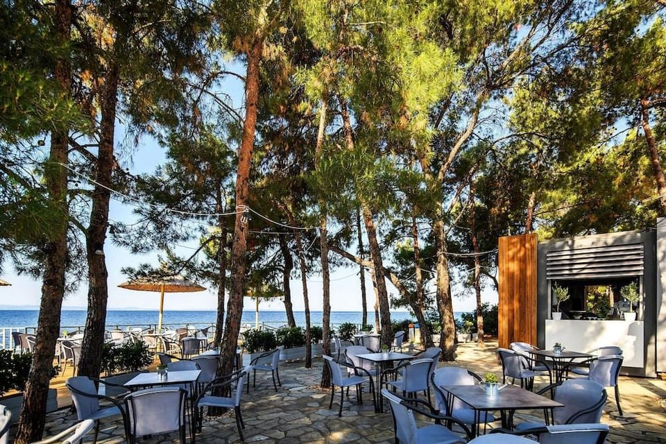 Blue Dolphin Hotel Hotel in Halkidiki