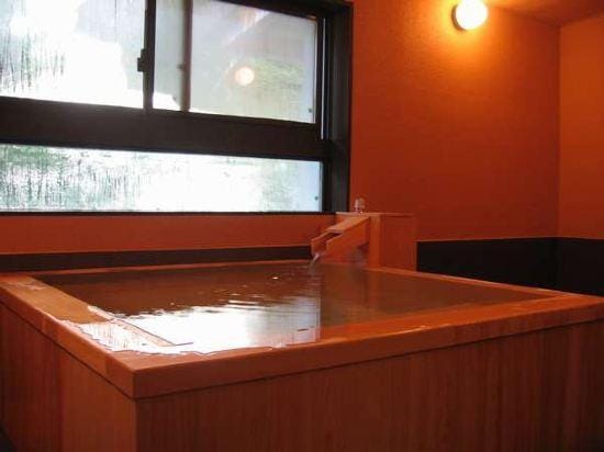 Shiga Riverside Hotel Hotel in Shimotakai District