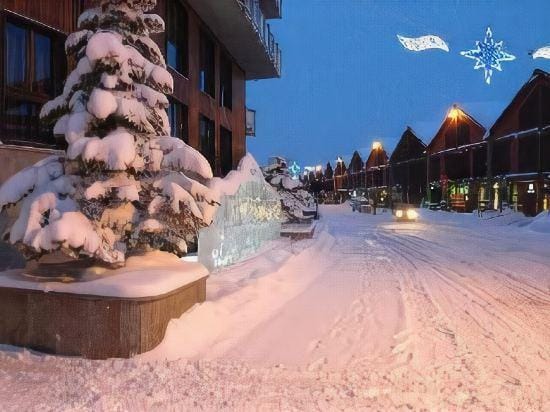 Hotel Cristallo Hotel in Sestriere