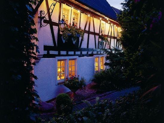Landgasthof Alte Bergmuhle Hotel in Hesse