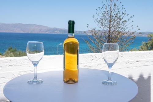 Delfini Apartments Hotel in Crete