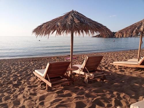 Argo Apartments Hotel in Crete
