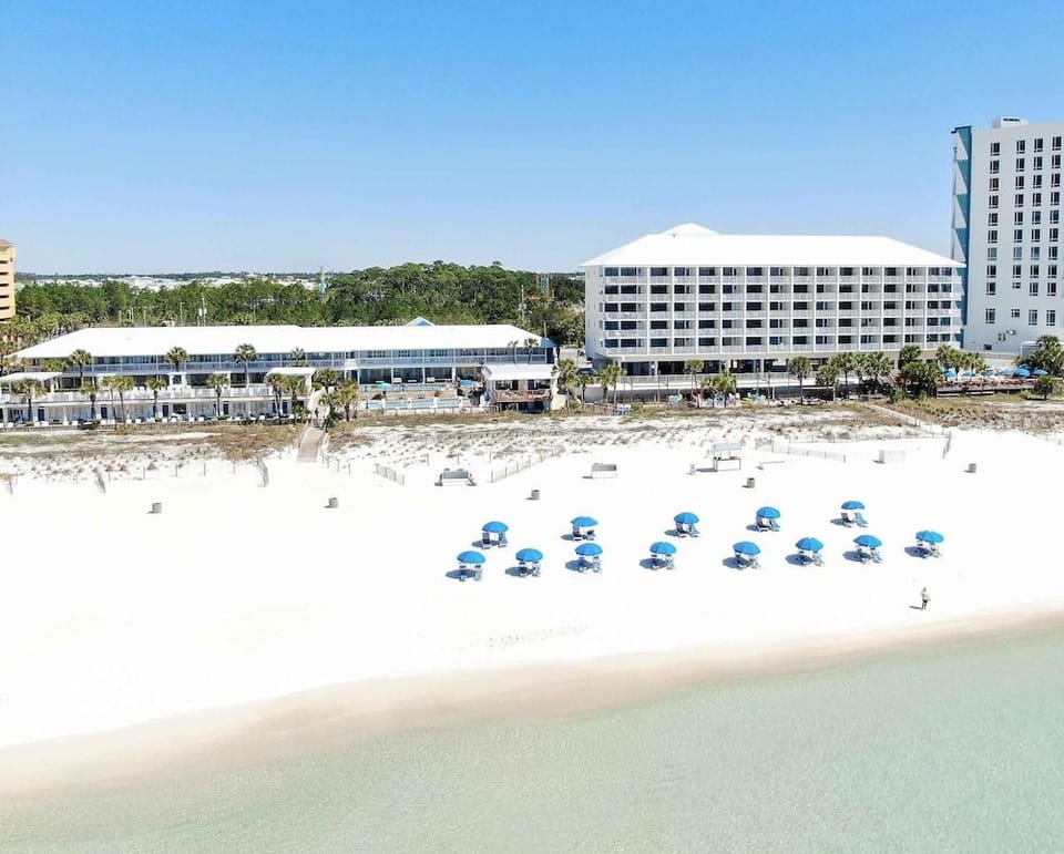 Osprey on the Gulf Hotel in Panama City Beach