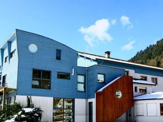 Logis Hotel les Sapins Hotel in Vosges