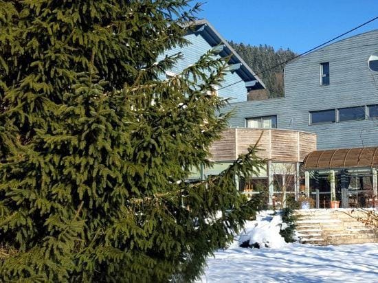 Logis Hotel les Sapins Hotel in Vosges