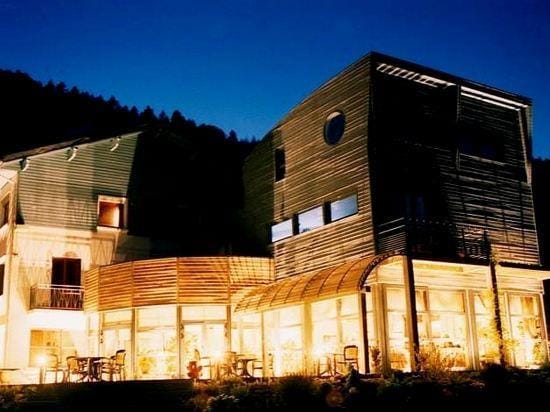 Logis Hotel les Sapins Hotel in Vosges
