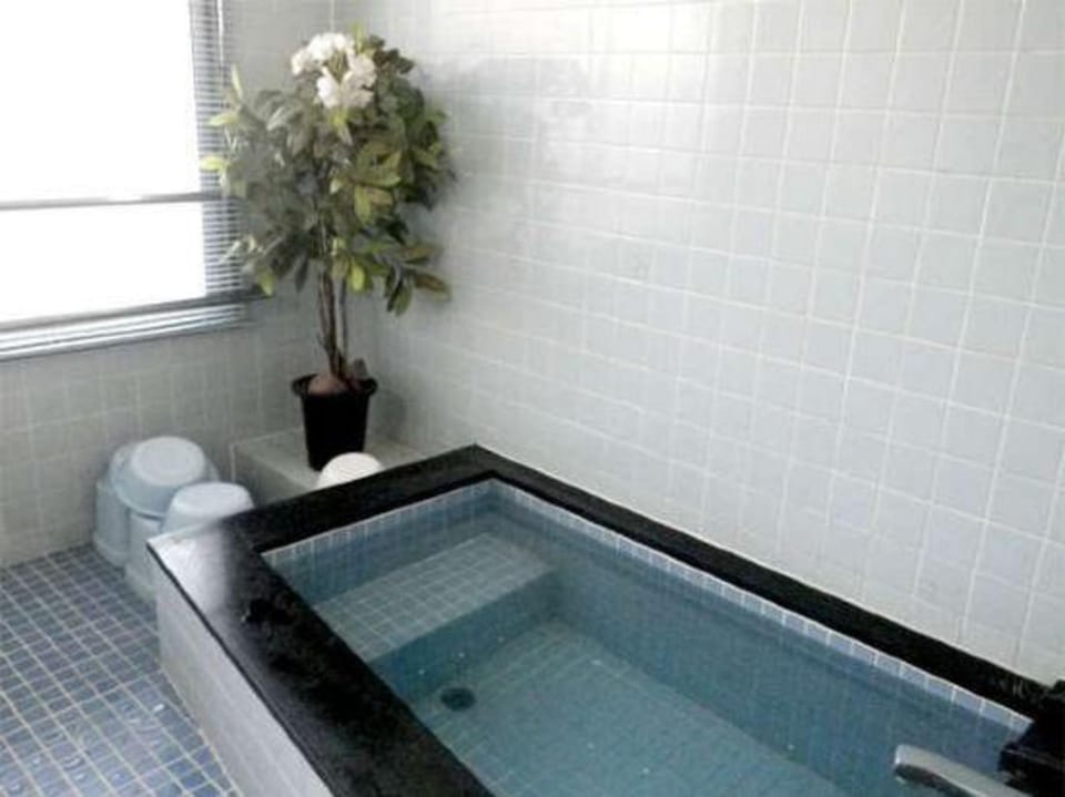 Hinode Ryokan Hotel in Japan