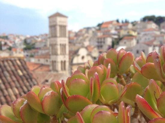 Villa Nora Hvar Hotel in Hvar