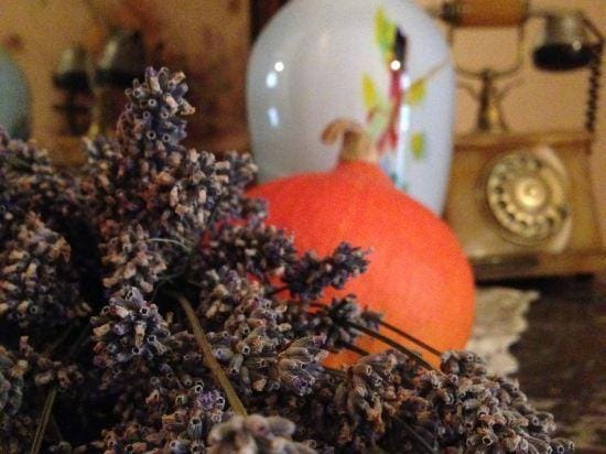 Villa Nora Hvar Hotel in Hvar