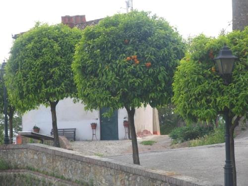 Hotel Tarabaralla Hotel in Emilia-Romagna