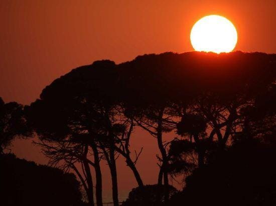 Brijuni Hotel Istra Hotel in Pula