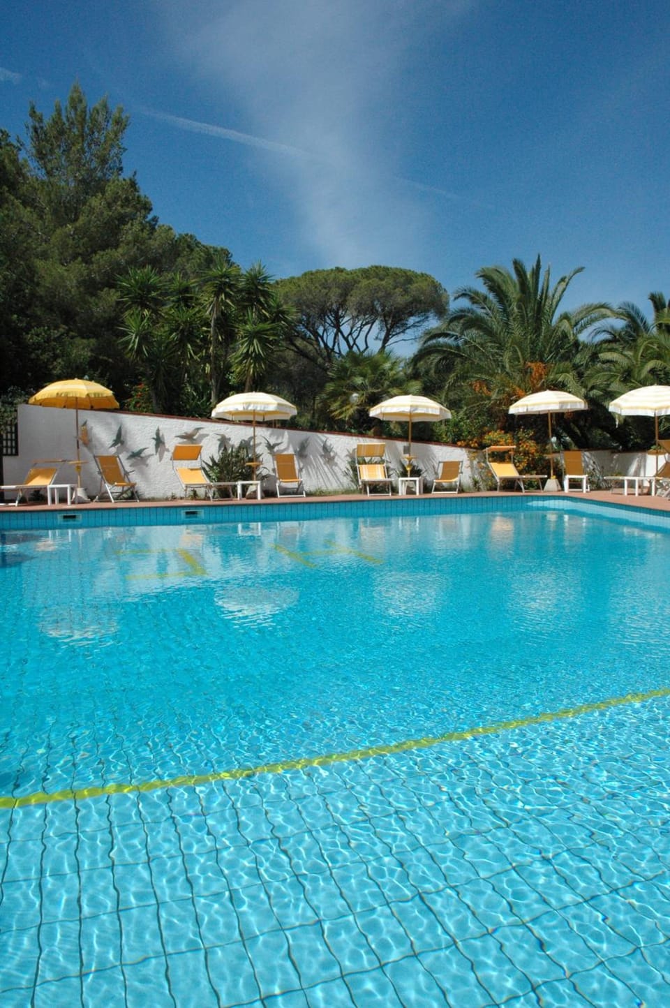 Hotel Capo Di Stella Hotel in Lacona