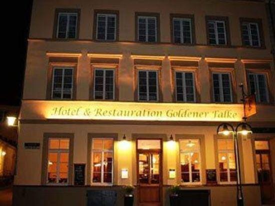 Hotel Goldener Falke Hotel in Heidelberg