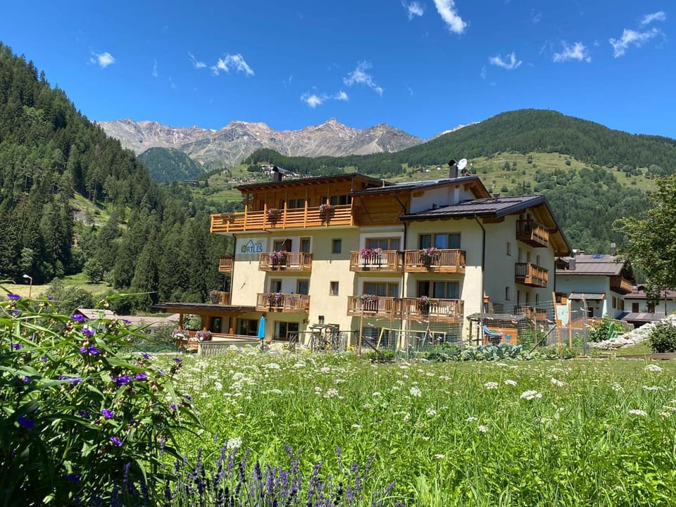 Hotel Ortles Dolomiti Walking & Spa Hotel in Province of Brescia