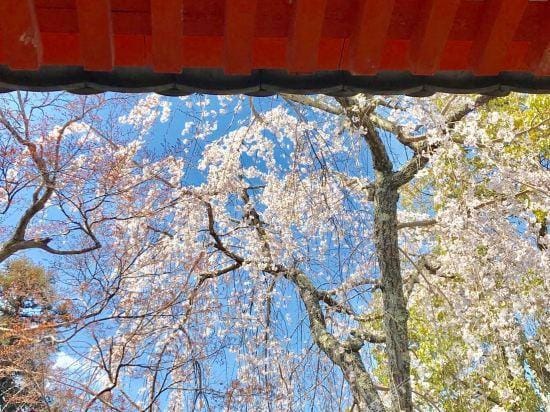 Naramachi Tonari Hotel in Japan